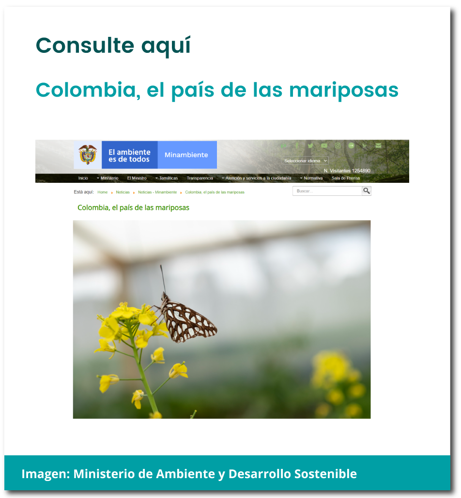 Colombia, el país de las mariposas