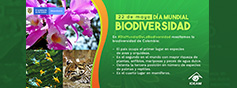 Día Mundial De La Biodiversidad
