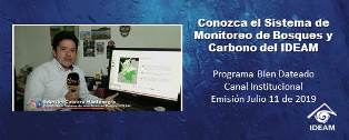 Sistema de Monitoreo de Bosques y Carbono del IDEAM