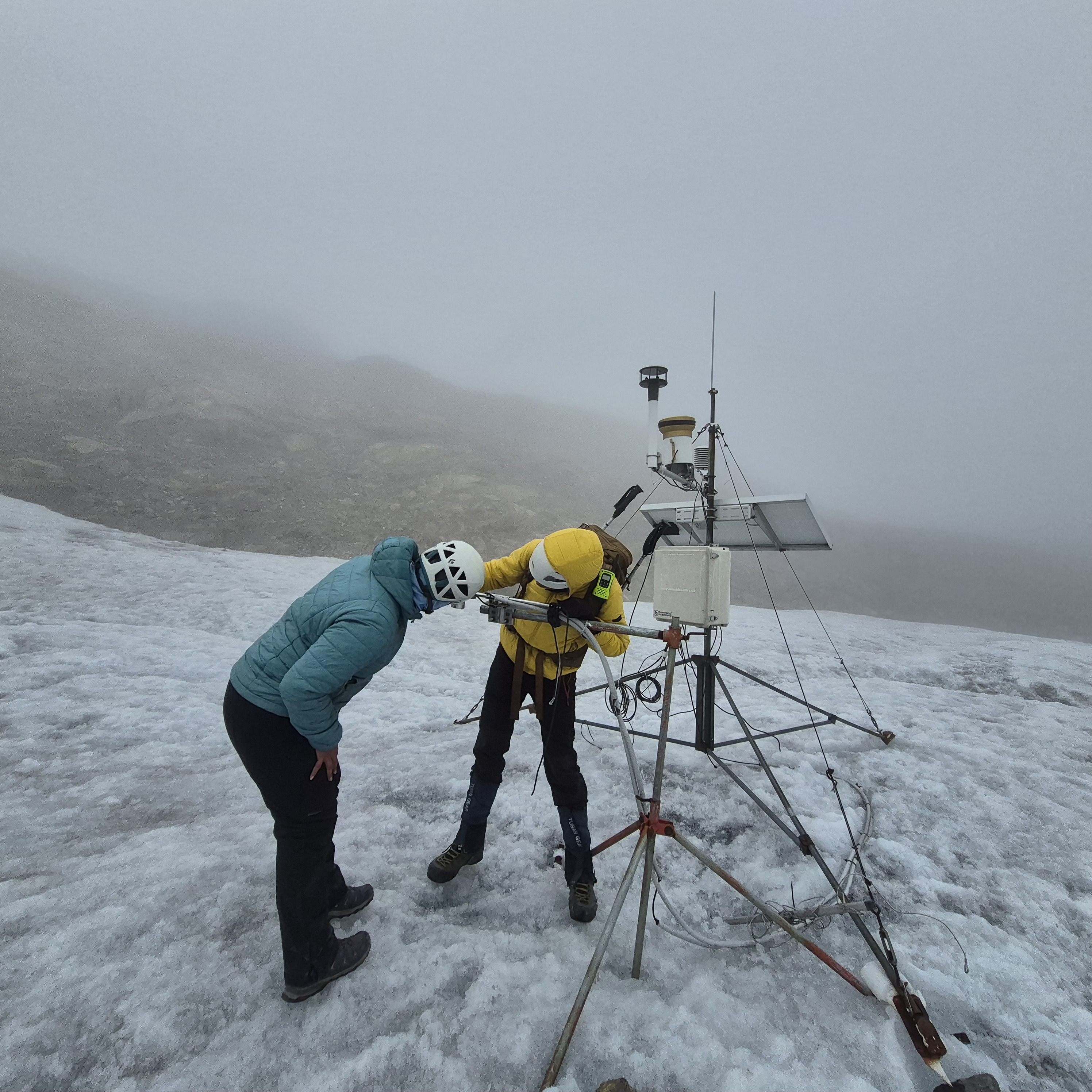 EMMA, El Hongo, 2024, Lina Zuluaga 