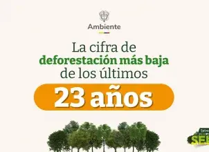 MADS - Cifra de deforestación