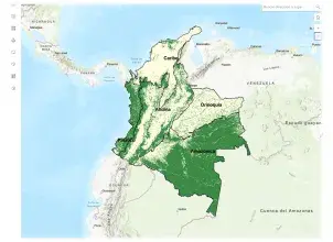 ABC del Geovisor de datos y estadísticas del monitoreo de bosques del Ideam