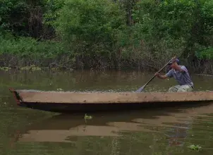 Parque Nacional Natural Amacayacu, Amazonas. Foto: @johanframe 