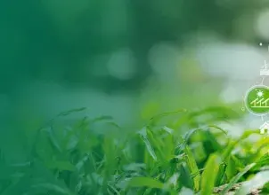 ¡Llegó el turno para la inscripción al Registro Único Ambiental (RUA) de los “Demás Sectores”!