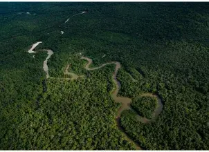 FOTO: MINAMBIENTE