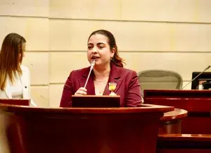 Directora del Ideam Ghisliane Echeverry Prieto en el Senado de la República de Colombia