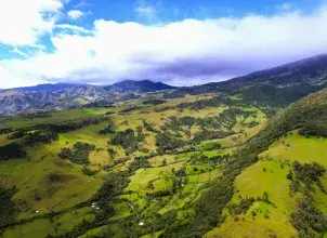 En el Día Mundial de la Diversidad Biológica, el Ideam destaca la diversidad ecosistémica de Colombia
