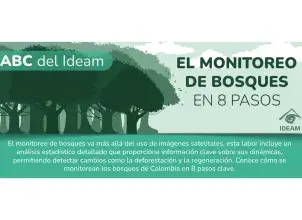 ABC del Sistema de monitoreo de Bosques y Carbono