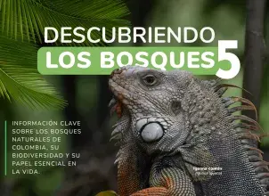 Ideam descubriendo los bosques 5