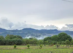 Alertas por incendios en las regiones Andina y Caribe, y por deslizamientos en el Pacífico y los Piedemontes Llanero y Amazónico