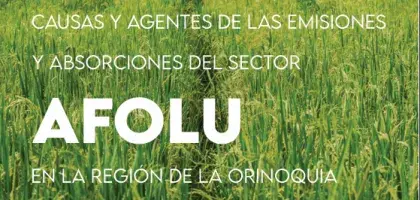 Causas y agentes de las emisiones del sector Afolu