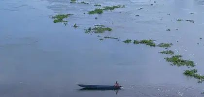 Subdirección de Estudios Ambientales