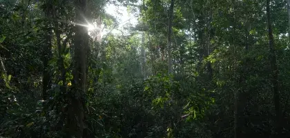 Día Internacional de la Tierra: Un día para recordar que el planeta y la biodiversidad no se cuidan solos