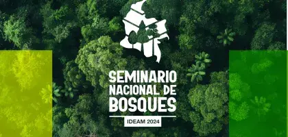 Seminario de bosques