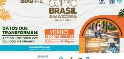 La COP30 es la Conferencia de las Naciones Unidas sobre el Cambio Climático- IDEAM