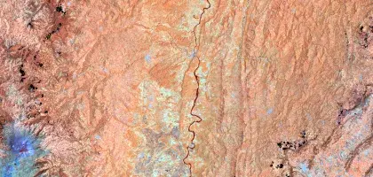 monitoreo de bosques