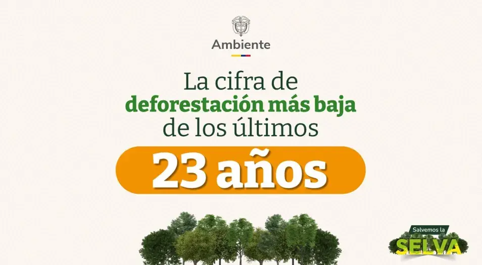 MADS - Cifra de deforestación