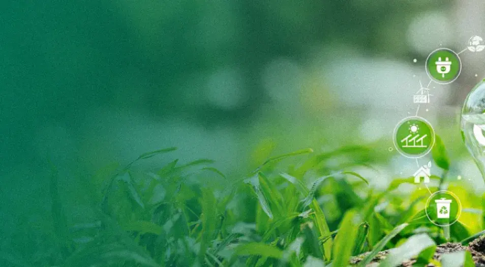 ¡Llegó el turno para la inscripción al Registro Único Ambiental (RUA) de los “Demás Sectores”!