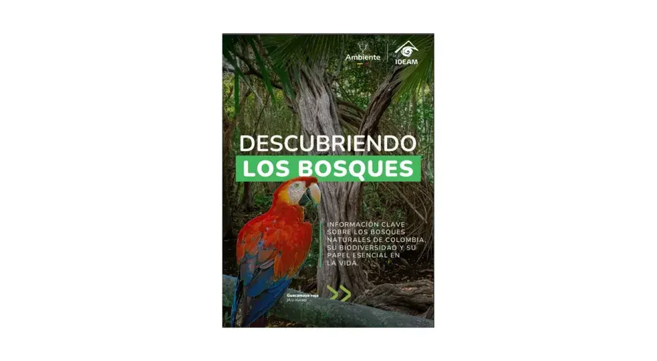 Día Internacional de los Bosques 2025 