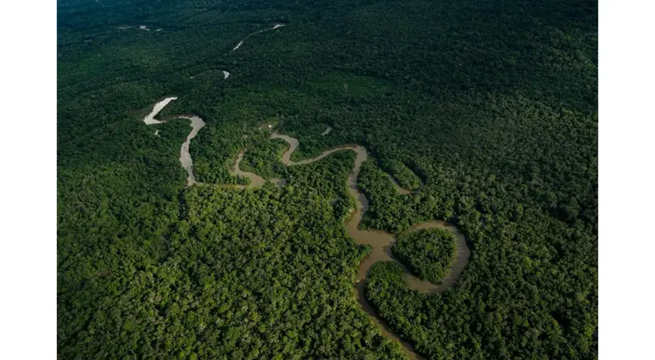 FOTO: MINAMBIENTE