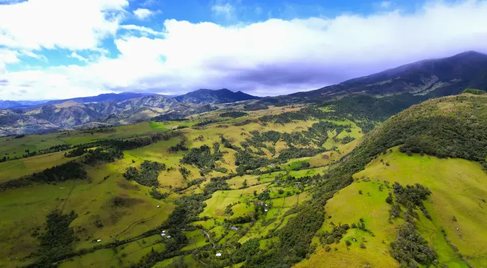 En el Día Mundial de la Diversidad Biológica, el Ideam destaca la diversidad ecosistémica de Colombia