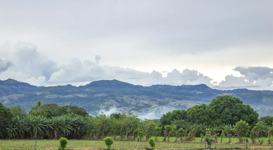 Alertas por incendios en las regiones Andina y Caribe, y por deslizamientos en el Pacífico y los Piedemontes Llanero y Amazónico