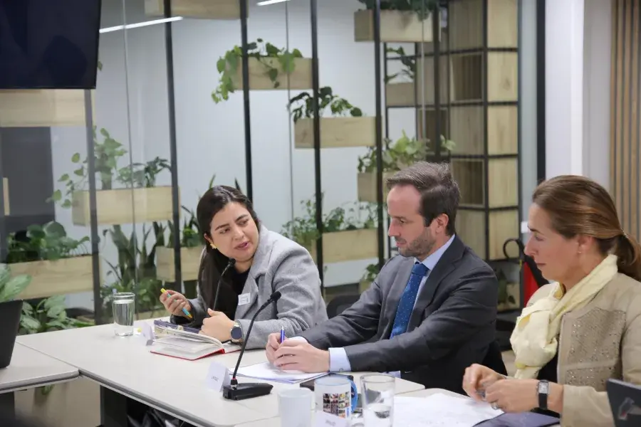 eunión de trabajo en una sala moderna con decoración minimalista y plantas. Ocho personas están sentadas alrededor de una mesa en forma de U, con laptops, tabletas, cuadernos y tazas. En el fondo, una pantalla muestra una presentación titulada "Fases del Proceso", con un cronograma de actividades entre abril y septiembre. Una mujer de pie, con mascarilla, sostiene un celular y observa la escena. Todos los participantes parecen estar atentos; algunos toman notas, otros escuchan o miran la pantalla.