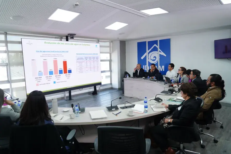 19-02-2025 Panel de expertos sobre demanda y huella hídrica en el marco del Estudio Nacional del Agua -ENA 2026 Ideam