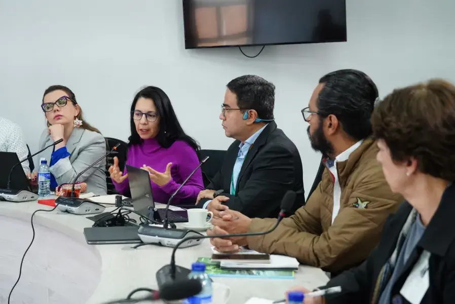 19-02-2025 Panel de expertos sobre demanda y huella hídrica en el marco del Estudio Nacional del Agua -ENA 2026 Ideam