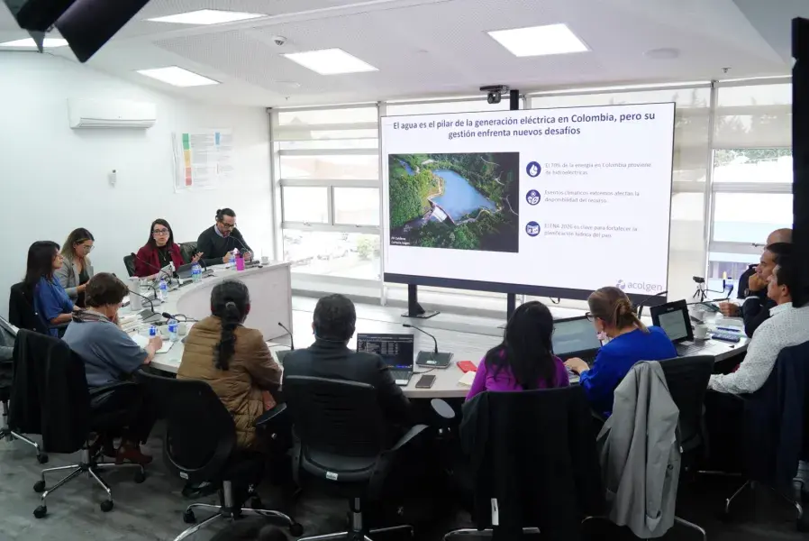 19-02-2025 Panel de expertos sobre demanda y huella hídrica en el marco del Estudio Nacional del Agua -ENA 2026 Ideam