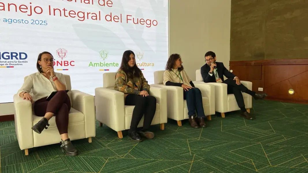 Ideam panel de incendios 