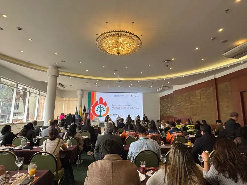 Ideam panel de incendios 