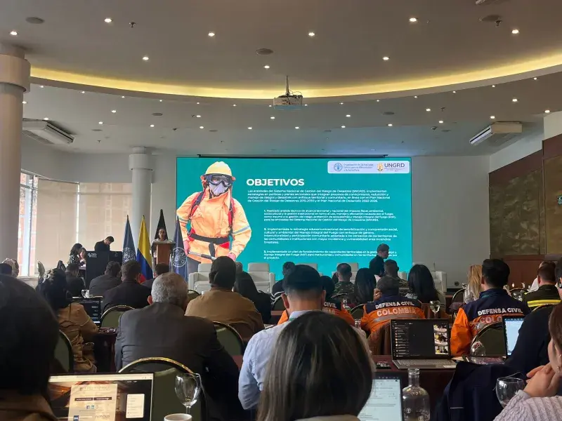 Ideam panel de incendios 