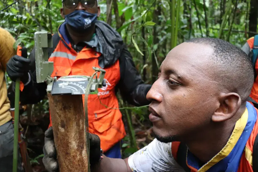 Inventario Forestal Nacional Ideam