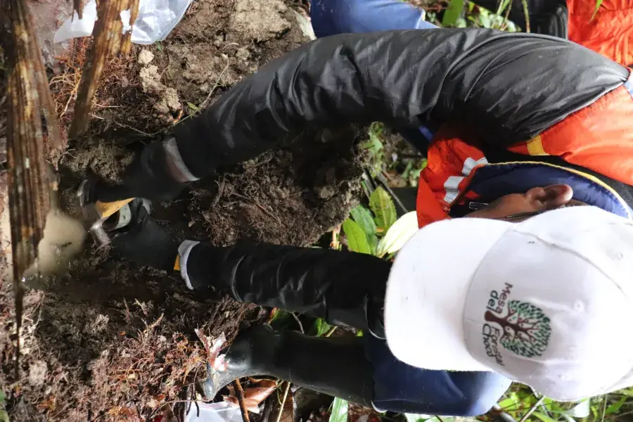 Inventario Forestal Nacional Ideam