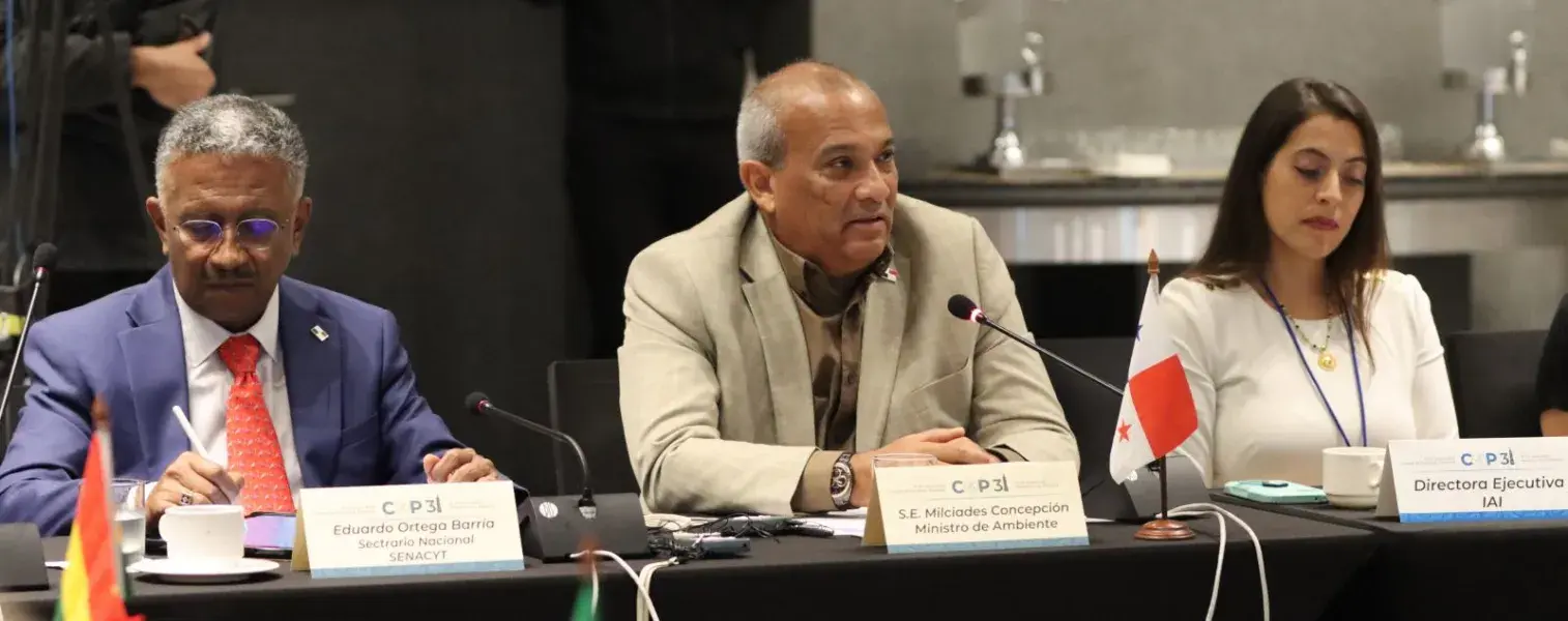 Convención Marco de las Naciones Unidas sobre el Cambio Climático (CMNUCC)