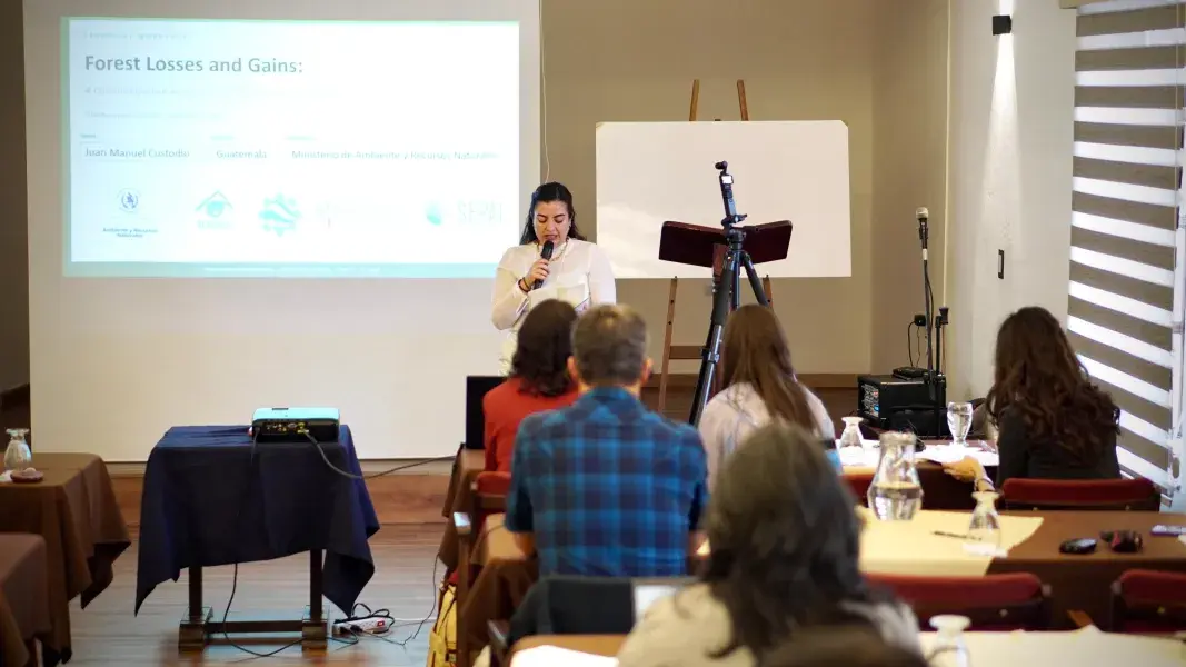 El Ideam lidera intercambio regional sobre monitoreo de bosques y carbono en Villa de Leyva.