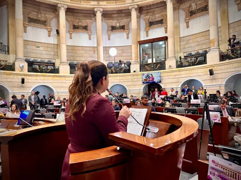 Ghisliane Echeverry, Directora del Ideam en el Senado de la República de Colombia