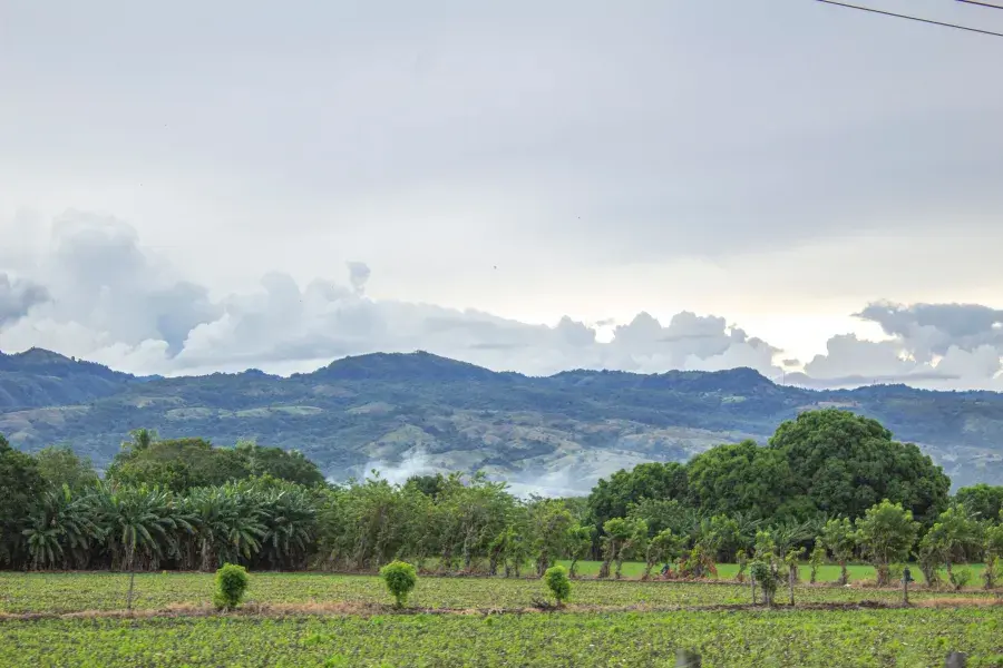 Ibagué, Tolima