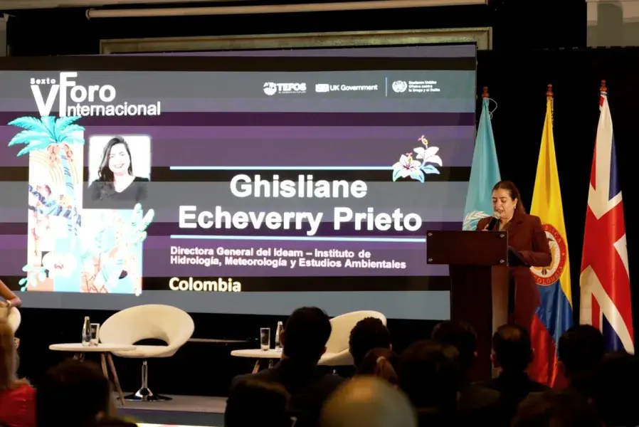 Ideam lanza el Registro Nacional de Zonas Deforestadas